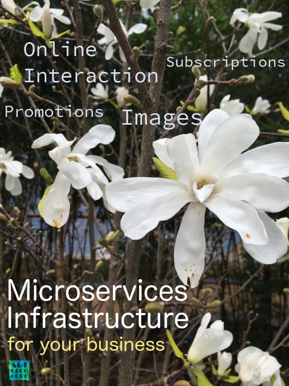 microservices for your business