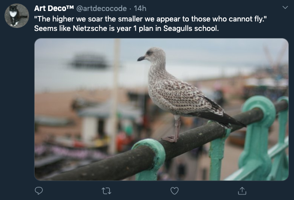 The higher we soar the smaller we appear to those who cannot fly. Seems like Nietzsche is year 1 plan in Seagulls school.